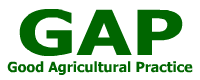 GAP